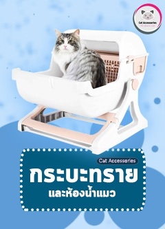 ห้องน้ำแมว